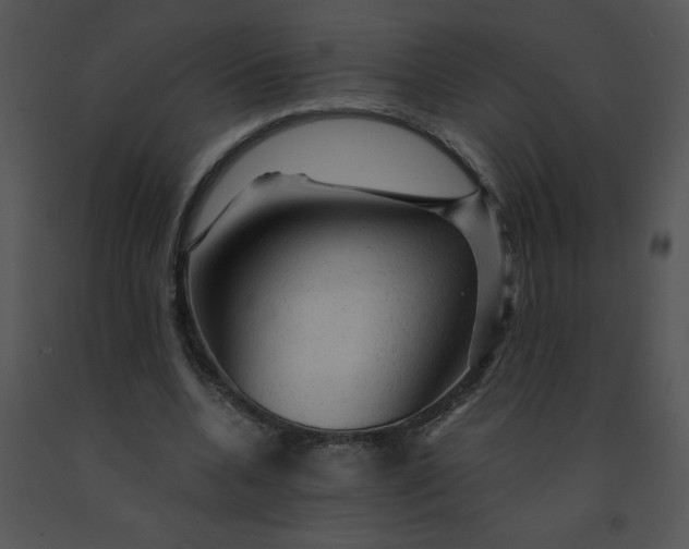 X0000091360536200708311507