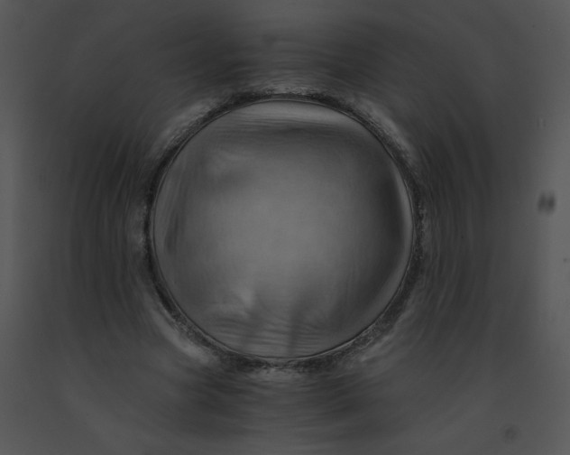 X0000091360537200708311507