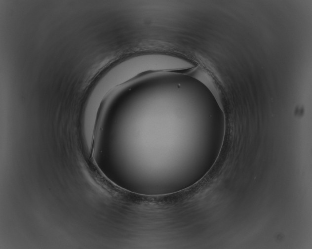 X0000091360538200708311507