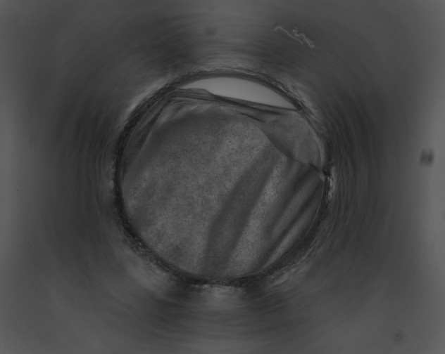 X0000091360539200708311507