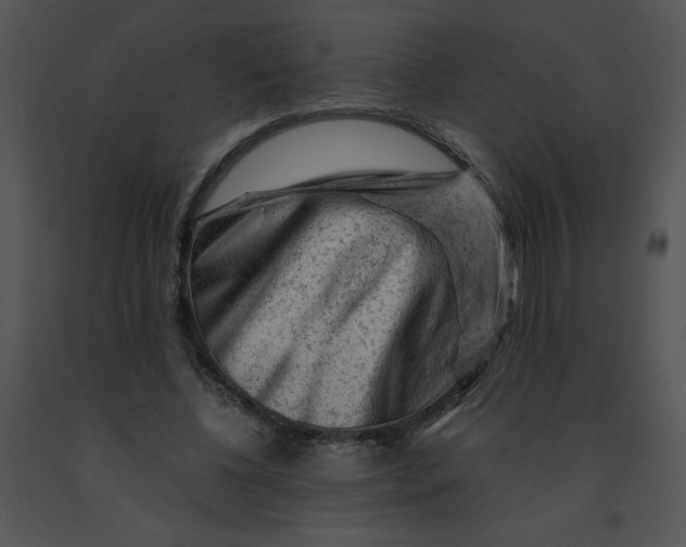 X0000091360540200708311507