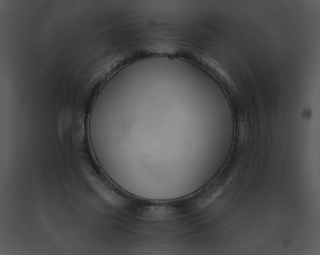 X0000091360541200708311507