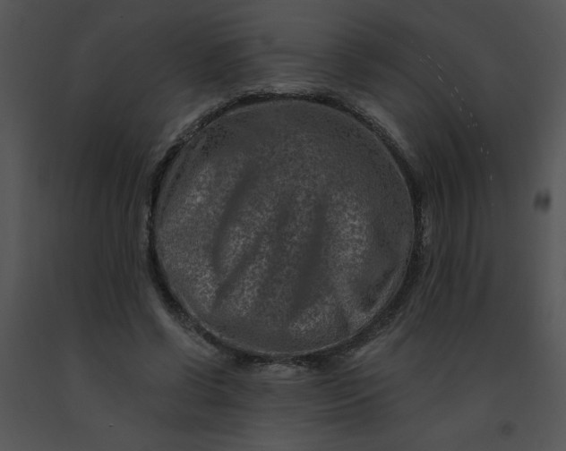 X0000091360542200708311507