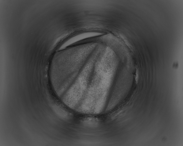 X0000091360543200708311507