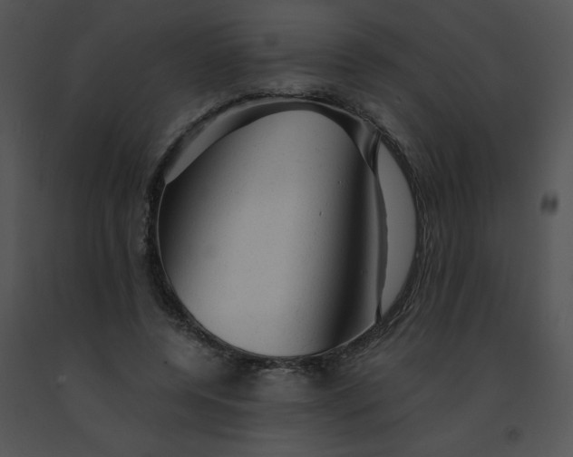 X0000091360544200708311507
