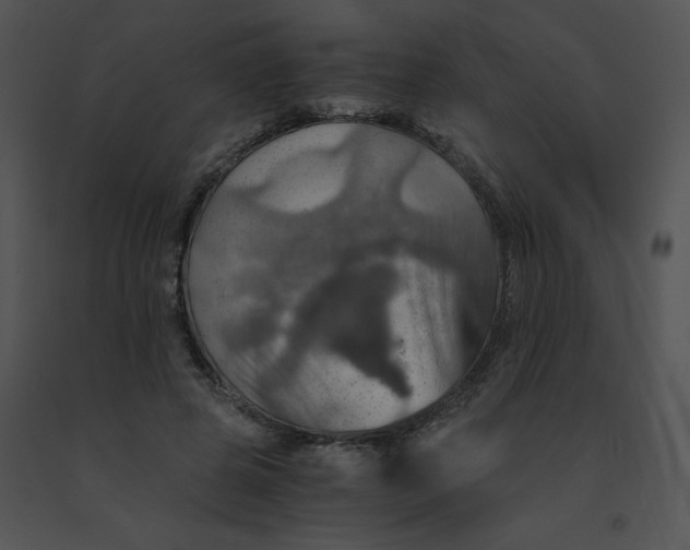 X0000091360545200708311507