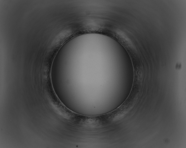 X0000091360546200708311507