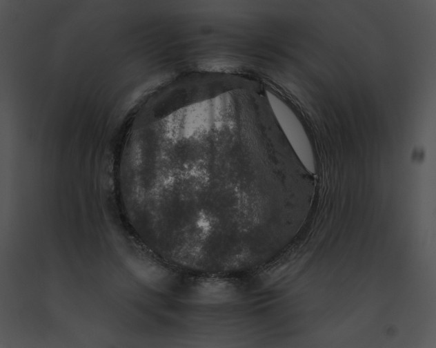 X0000091360547200708311507