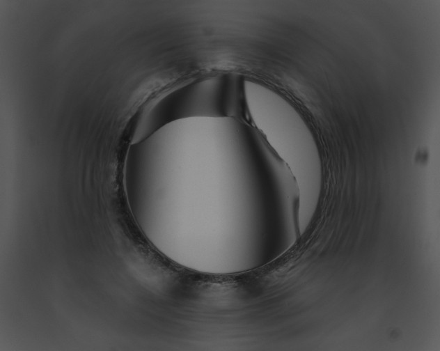 X0000091360548200708311507