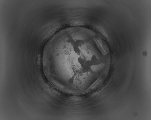 X0000091360549200708311507