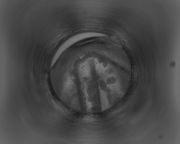 X0000091360550200708311507