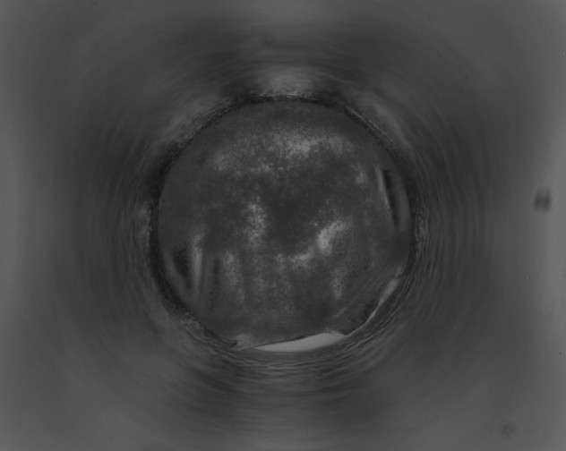 X0000091360551200708311507