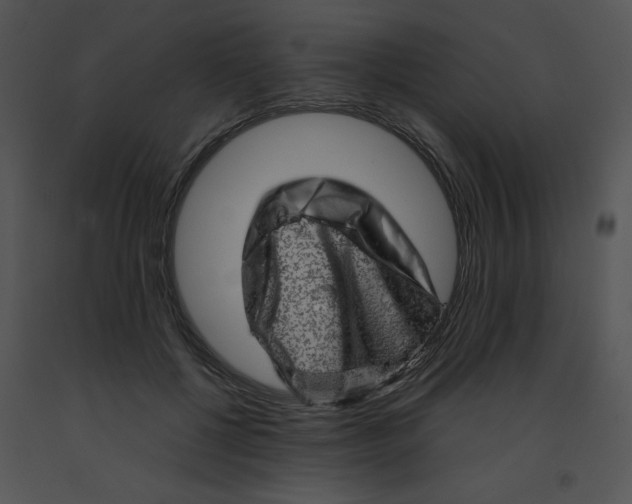 X0000091360552200708311507