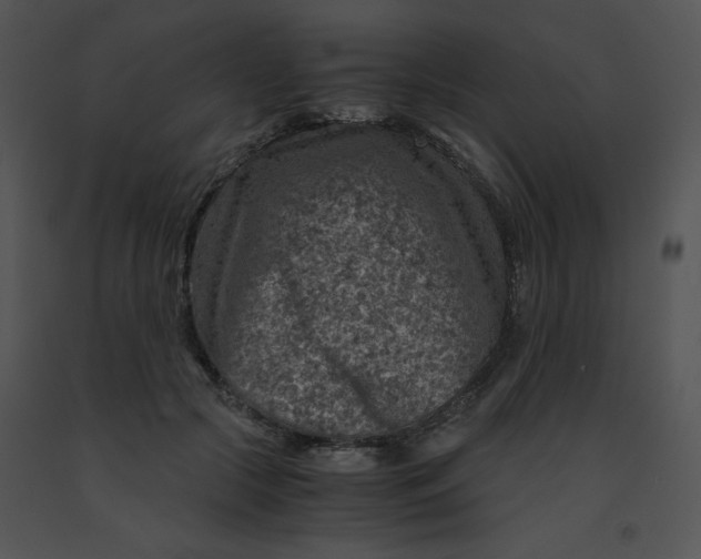 X0000091360553200708311507