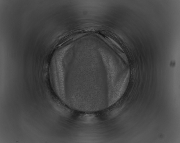 X0000091360554200708311507