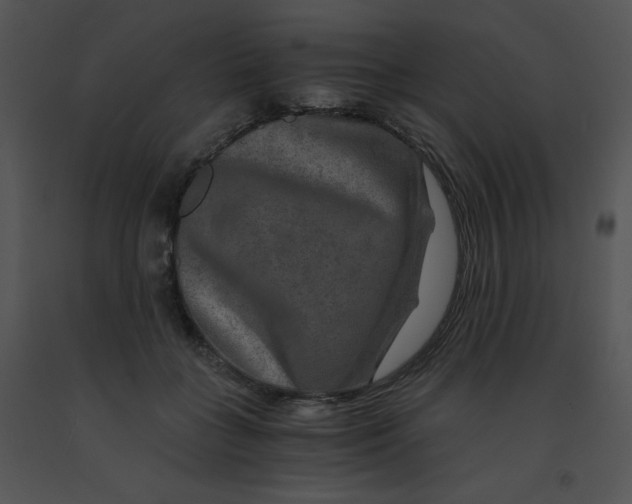 X0000091360555200708311507