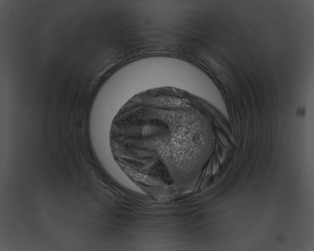 X0000091360556200708311507