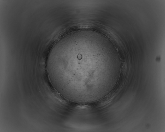 X0000091360557200708311507