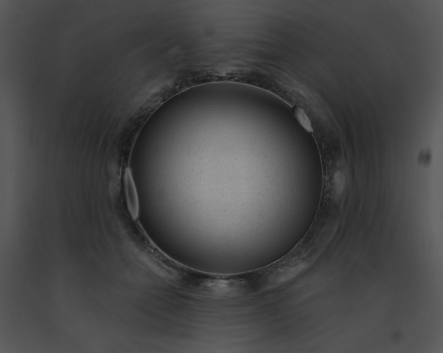 X0000091360558200708311507