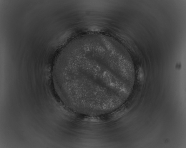 X0000091360559200708311507