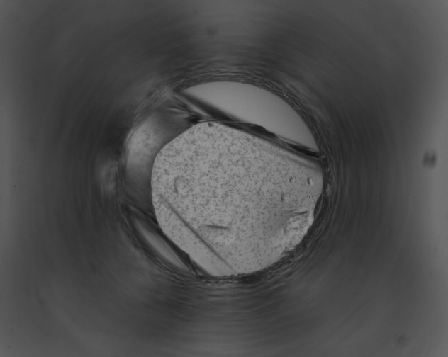 X0000091360560200708311507