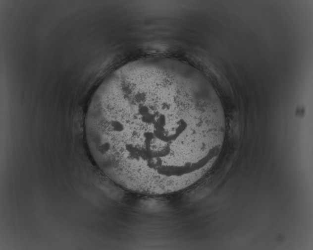X0000091360561200708311507