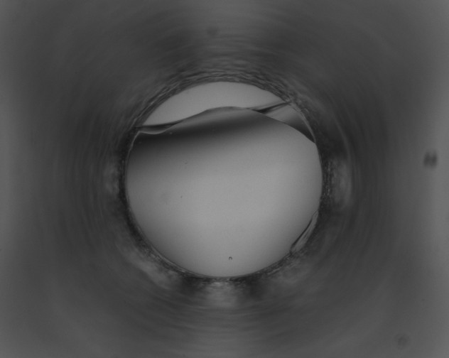 X0000091360562200708311507