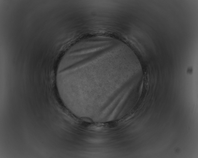 X0000091360563200708311507