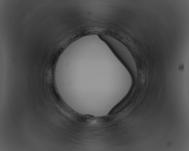 X0000091360564200708311507