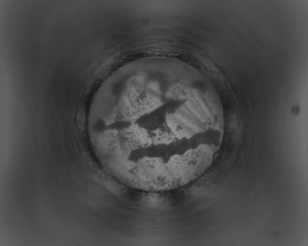 X0000091360565200708311507