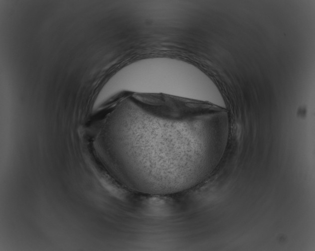 X0000091360566200708311507