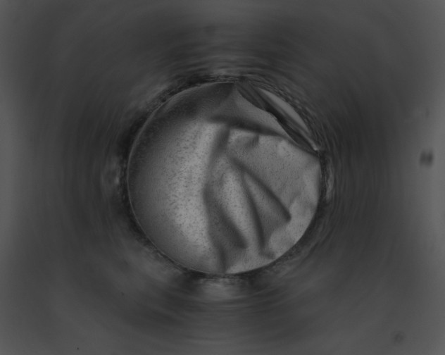X0000091360567200708311507