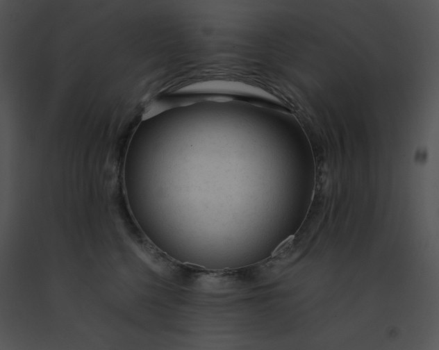 X0000091360568200708311507