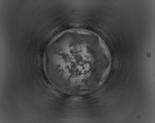X0000091360569200708311507