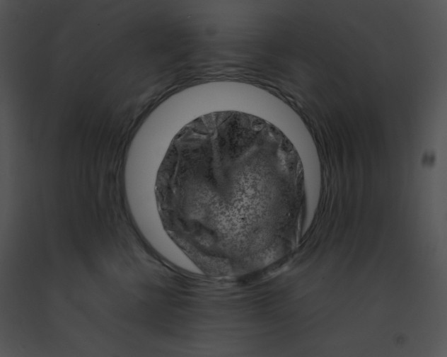 X0000091360570200708311507