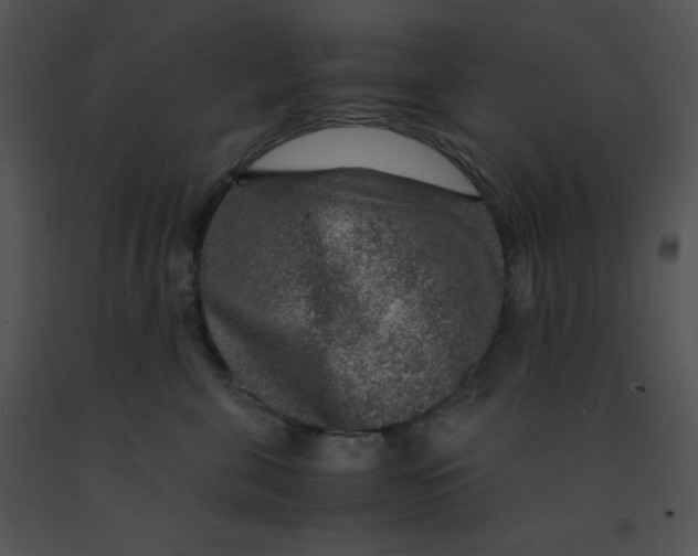 X0000091360571200708311507