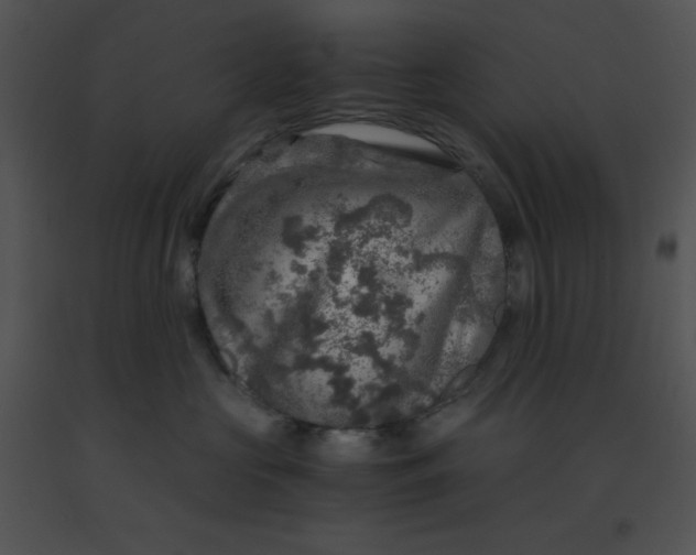 X0000091360573200708311507