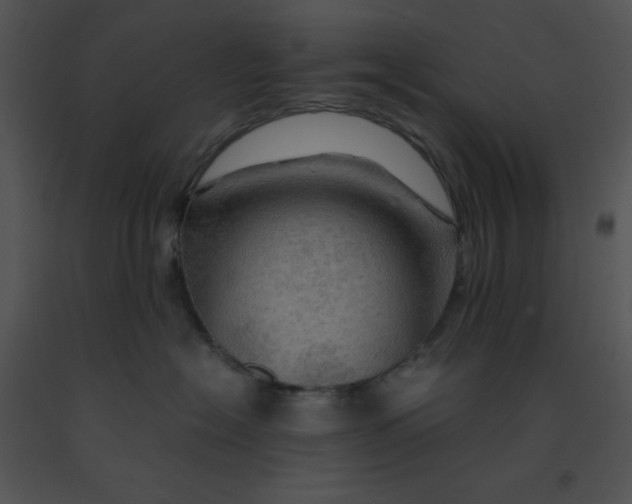 X0000091360574200708311507