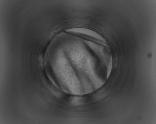 X0000091360575200708311507