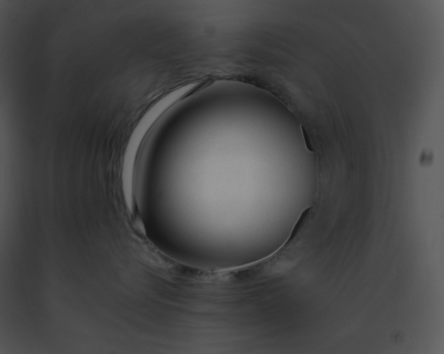 X0000091360576200708311507