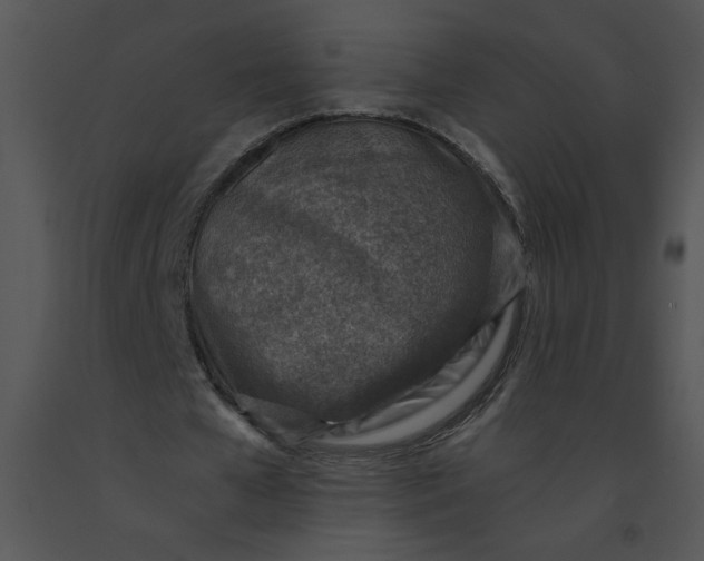 X0000091360577200708311506