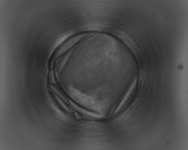 X0000091360578200708311506