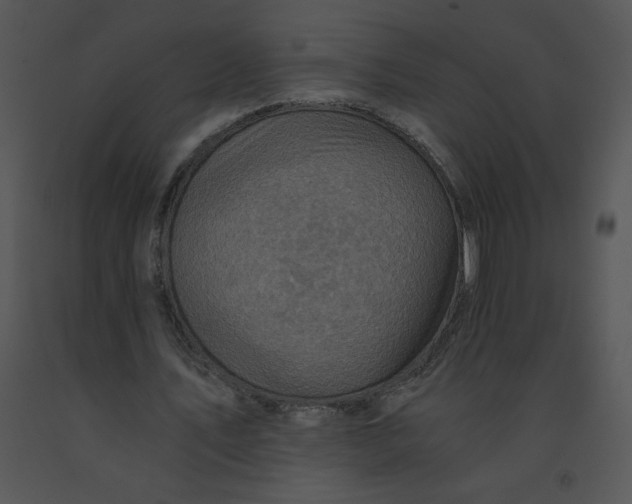 X0000091360579200708311506