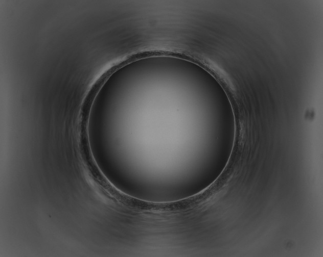 X0000091360580200708311506