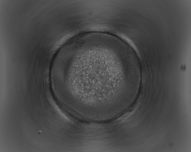 X0000091360581200708311506