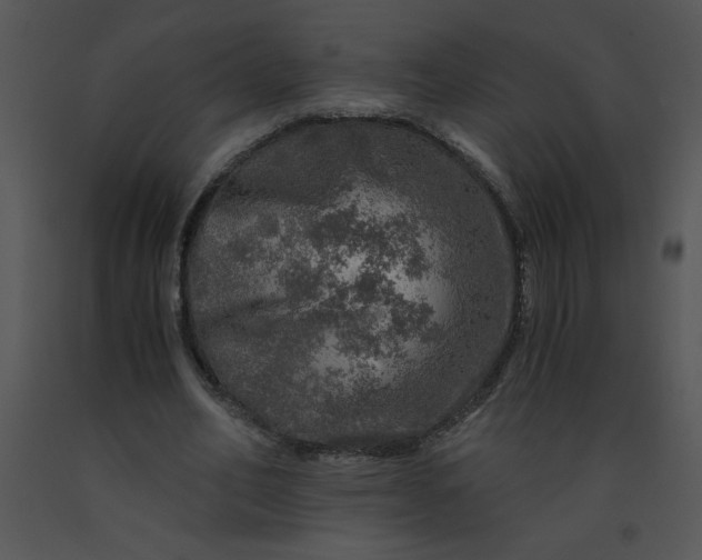 X0000091360582200708311506