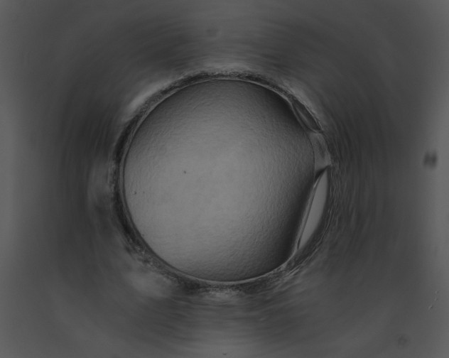 X0000091360583200708311506