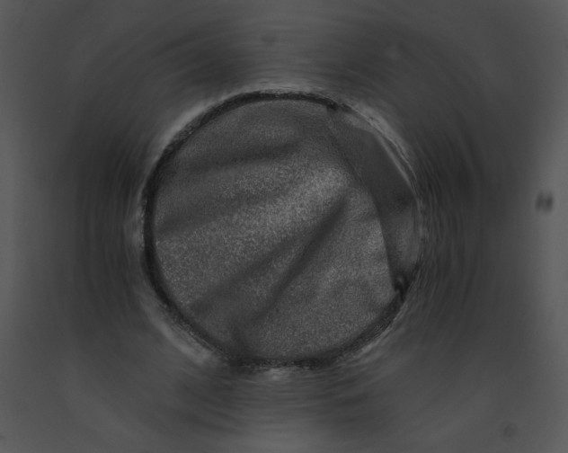 X0000091360584200708311506