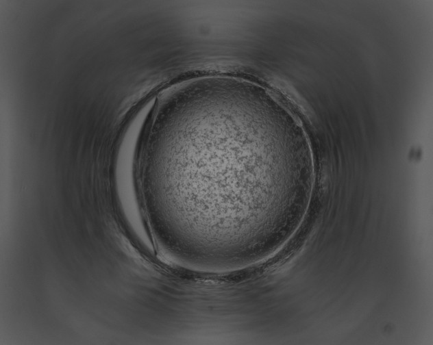 X0000091360585200708311506
