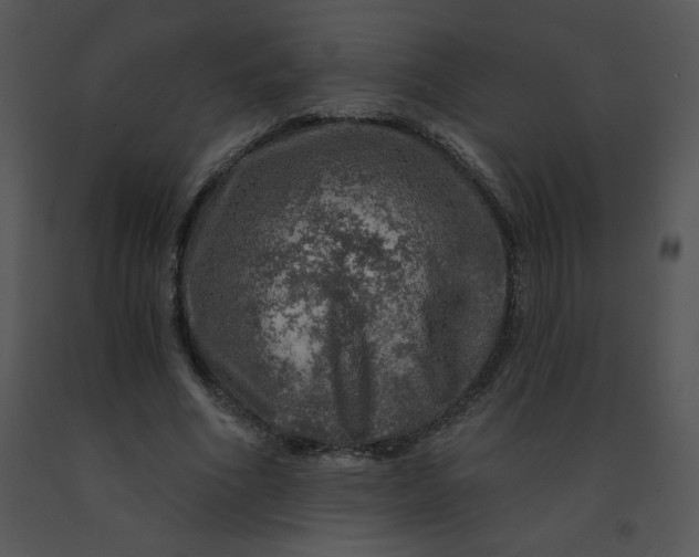 X0000091360586200708311506